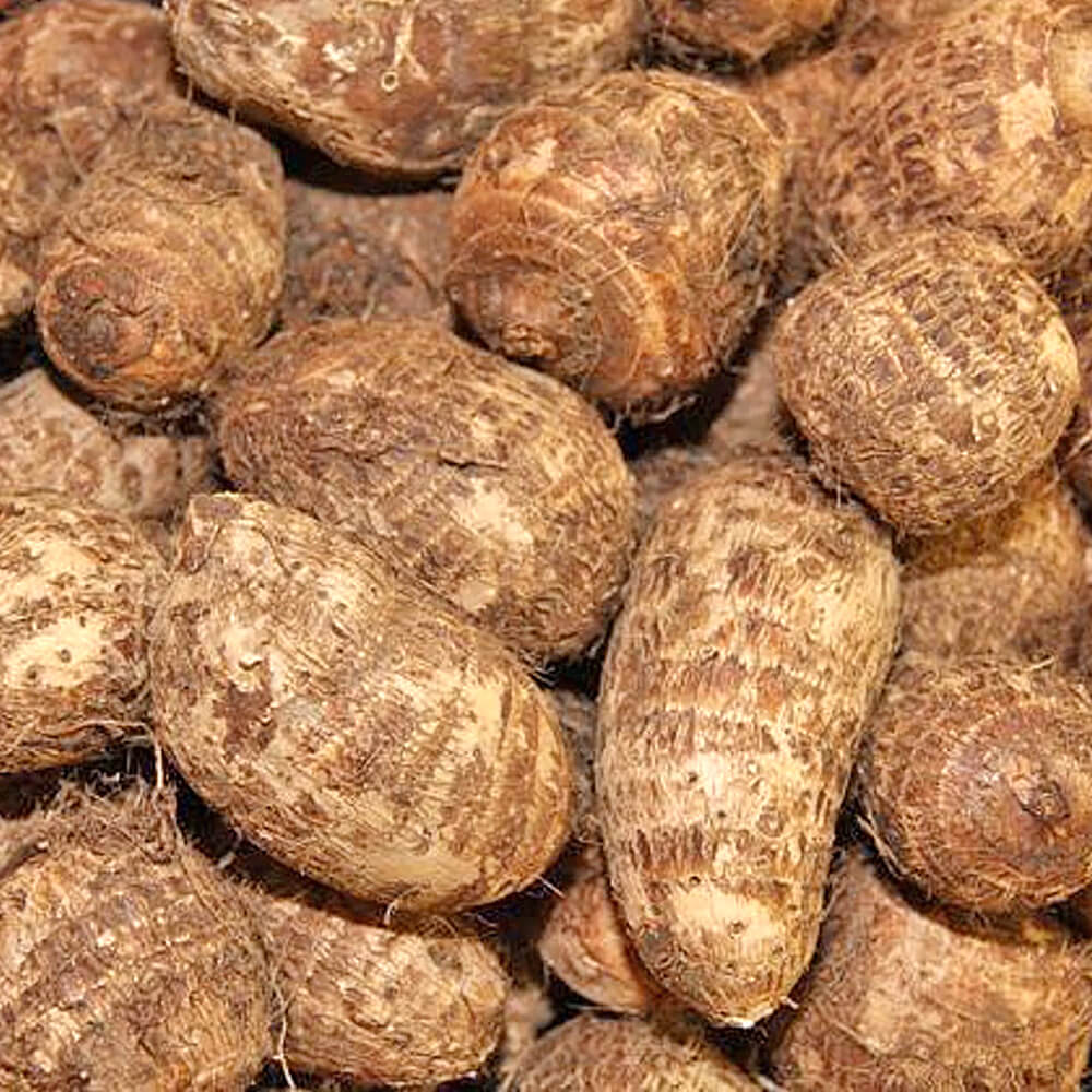 Arbiarvi - Fresh Produce