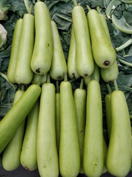Bottle Gourd - Fresh Produce