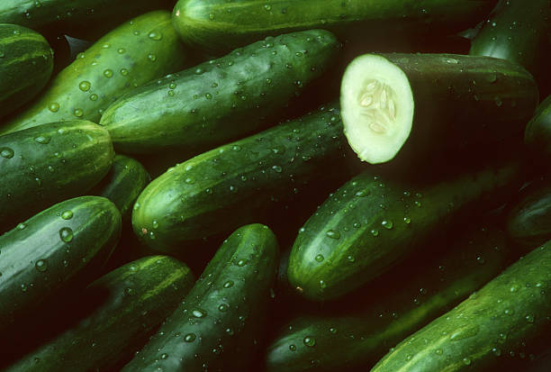 Cucumber - Fresh Produce