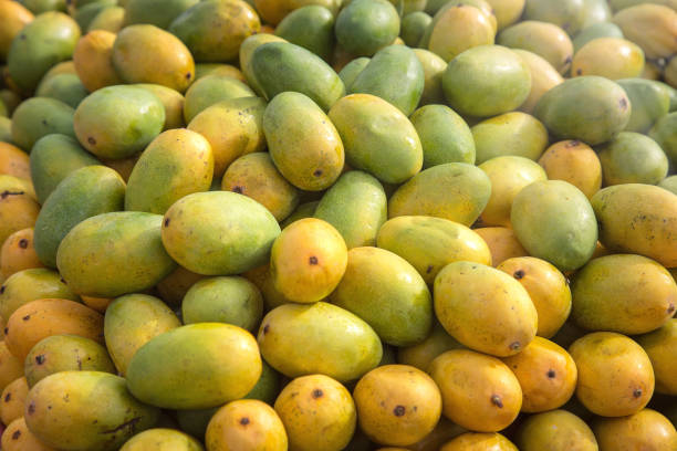 Mango - Fresh Produce