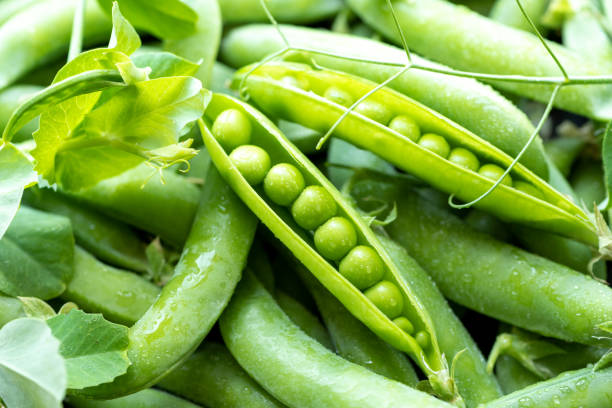 Peas - Fresh Produce