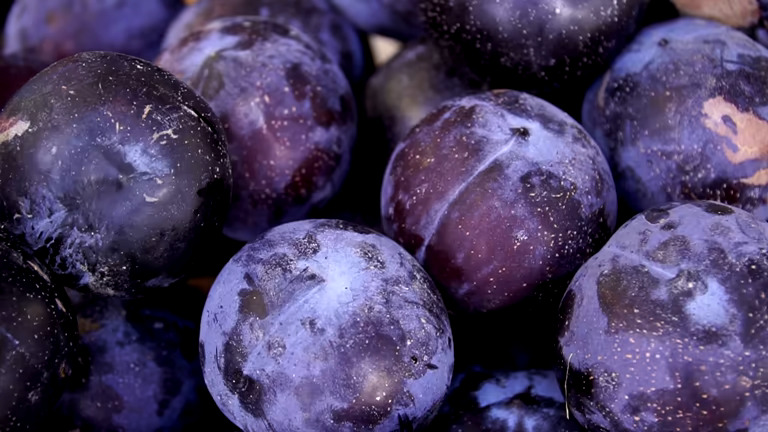 Plum - Fresh Produce